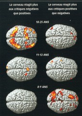 cerveau et apprentissage.jpg