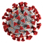 coronavirus couroune.jpg
